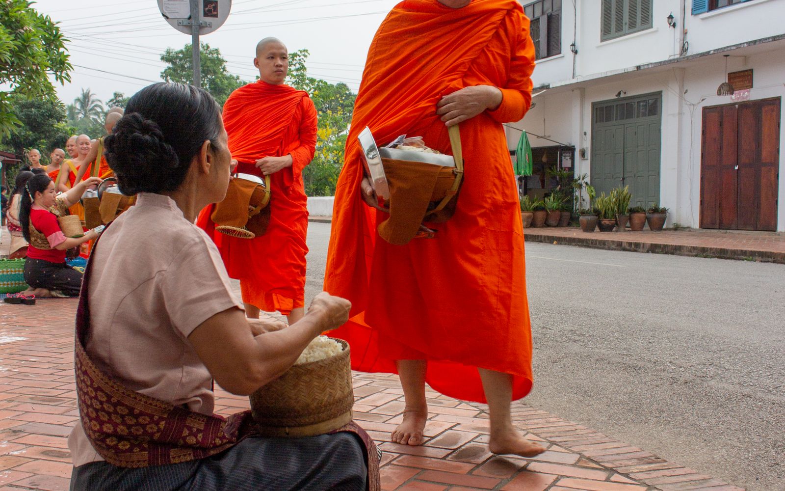 Residents offering sticky rice to a line of monks during the morning tak bat in Luang Prabang
