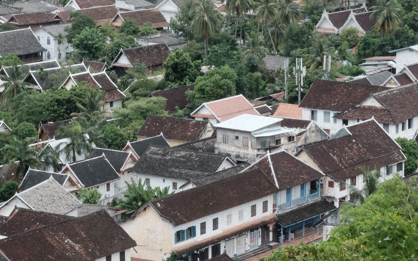 The protected roofscape of Luang Prabang's old town: low timber and temple roofs among the palms